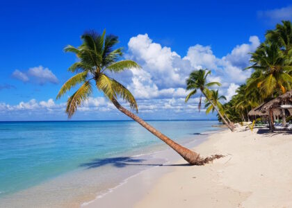 Urlaubstipps Dominikanische Republik beach 5990648 1920
