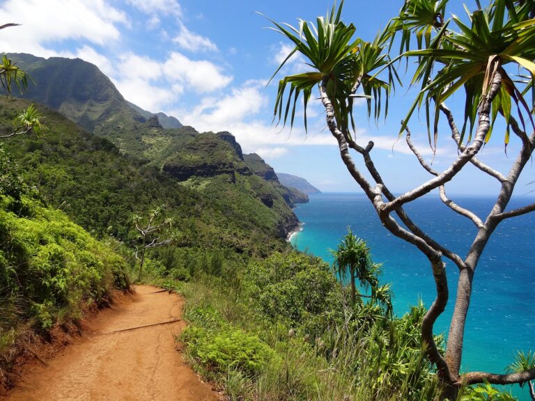 Urlaubstipps Kauai napali coast 91676 1920