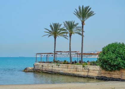 Urlaubstipps Libanon palm trees gdedf2da3e 1920