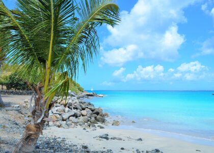 Urlaubstipps Martinique west indies 1388846 1920
