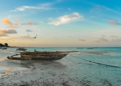 Urlaubstipps Tansania africa gcb9865222 1920
