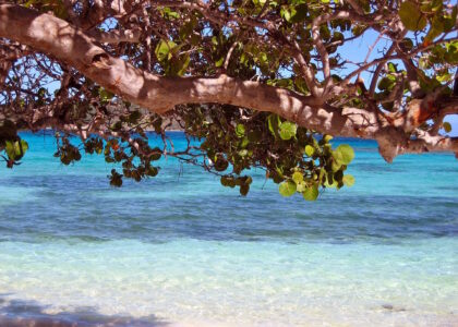 Urlaubstipps barbados 92162 1920