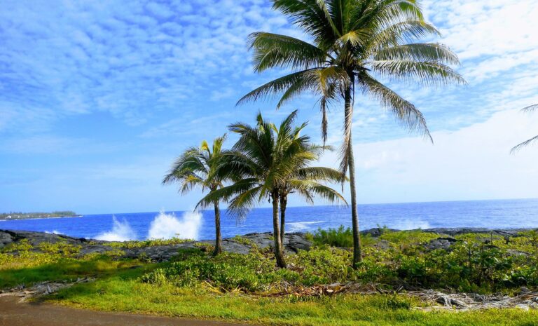 Urlaubstipps hawaii Big Island beach gbdb084a2e 1920