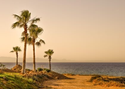 Urlaubstipps Alaminos palm trees gd276521e5 1920