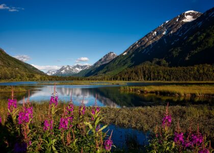 Urlaubstipps Girdwood chugach national forest 1622635 1920