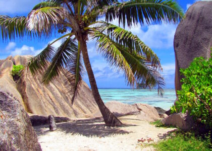 Urlaubstipps Insel Denis palm tree 322643 1920