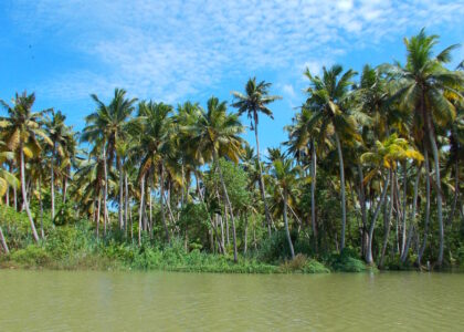 Urlaubstipps Poovar backwaters 726181 1920