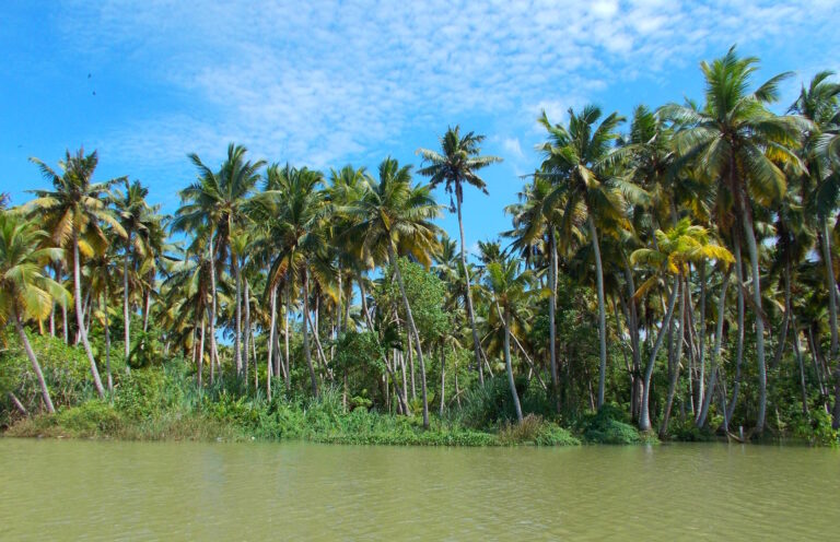 Urlaubstipps Poovar backwaters 726181 1920
