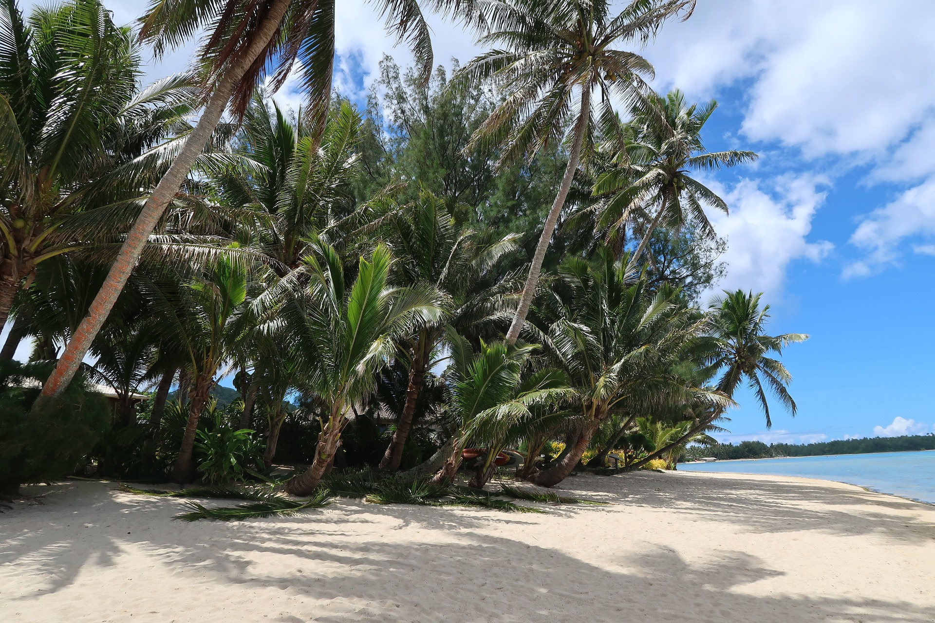 Insel Rarotonga Urlaubstipps Tipps für Insel Rarotonga Urlaub