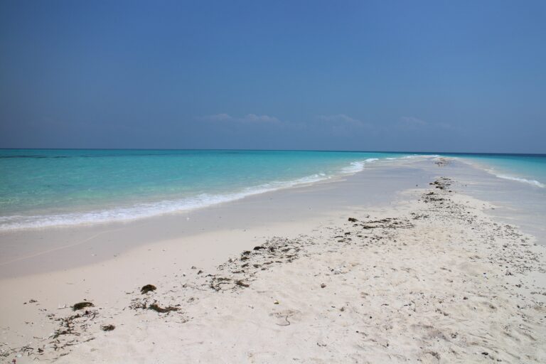 Urlaubstipps Jambiani Sansibar beach 1582161 1920